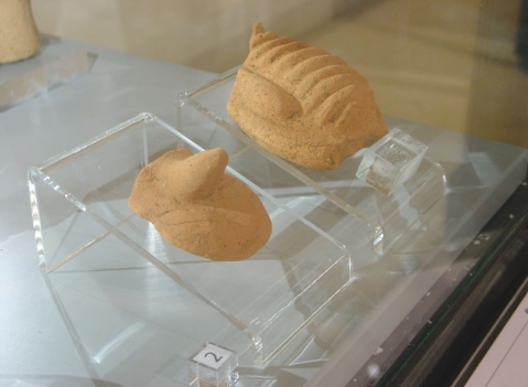 Accessori espositivi: LINEA METACRILATO