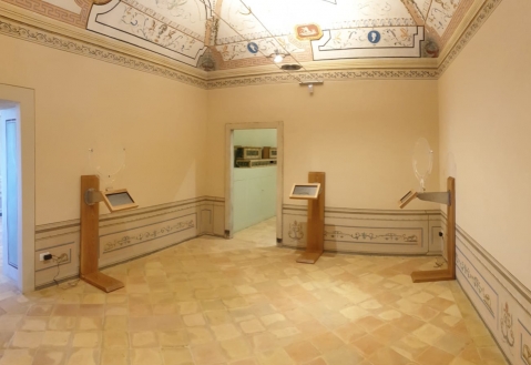 Monetiere Interattivo Rotante