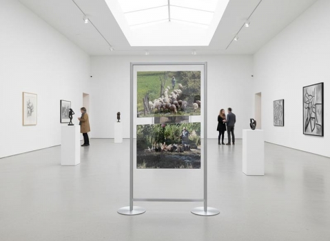 Pannelli espositivi: LINEA ALA