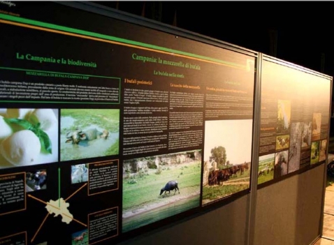 Pannelli espositivi: LINEA MACRO 