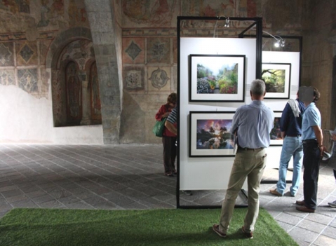 Pareti espositive: LINEA PINACOS