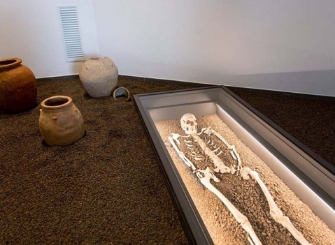 Vetrine espositive per musei della linea Argurion Museo- Frantoio delle Idee- Comune di Moscufo