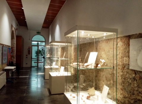 Vetrine espositive per musei della linea Theca